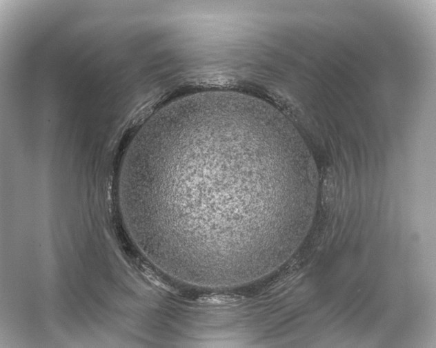 X0000066120739200603131327