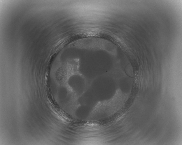 X0000066120741200603131327