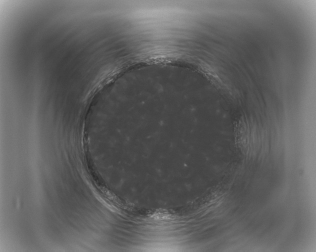 X0000066120742200603131328