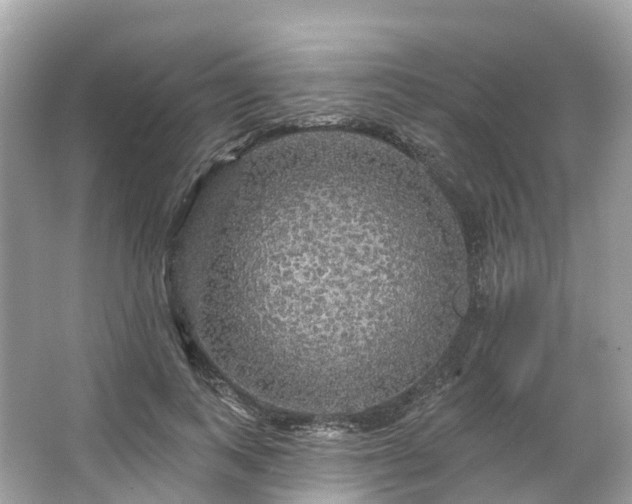 X0000066120743200603131328