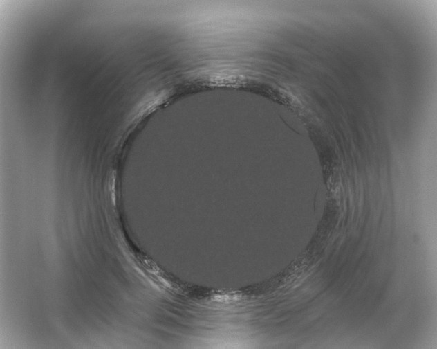 X0000066120744200603131328