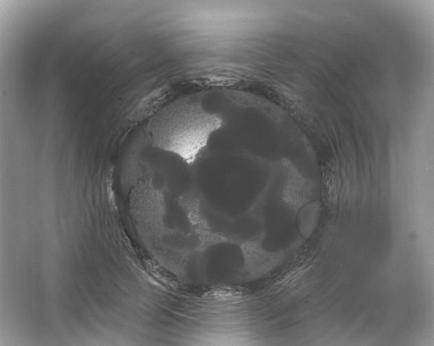 X0000066120745200603131328