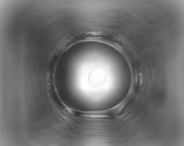 X0000066120750200603131328