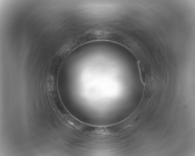 X0000066120752200603131328