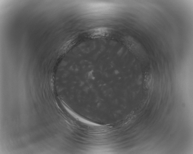 X0000066120753200603131328