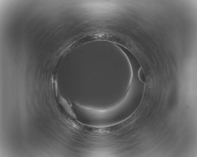 X0000066120754200603131328