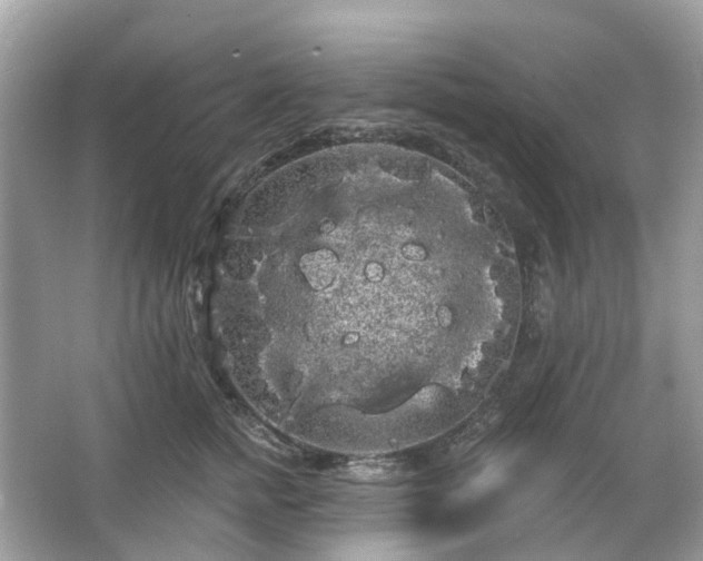 X0000066120758200603131328