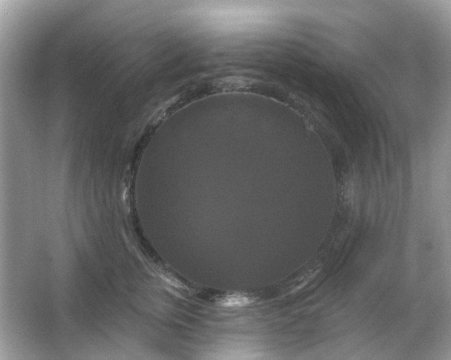 X0000066120759200603131328