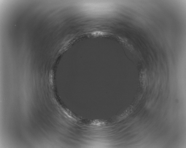 X0000066120760200603131328