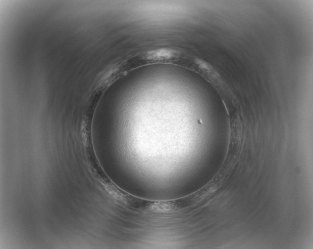 X0000066120762200603131328