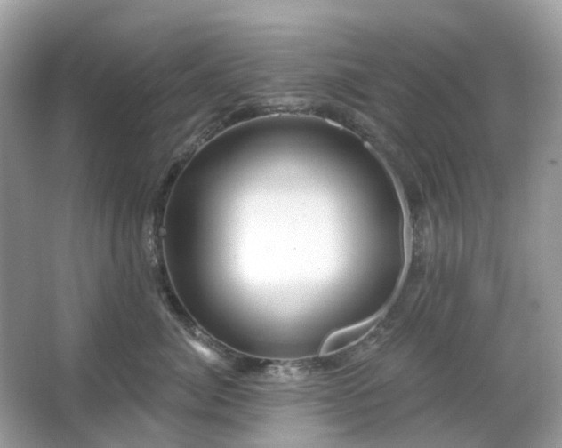 X0000066120764200603131328