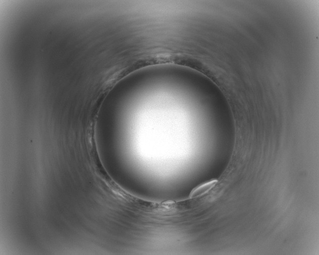 X0000066120768200603131328