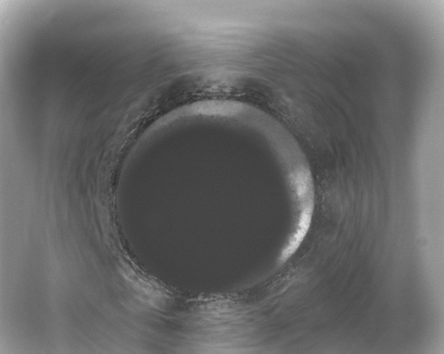 X0000066120769200603131327