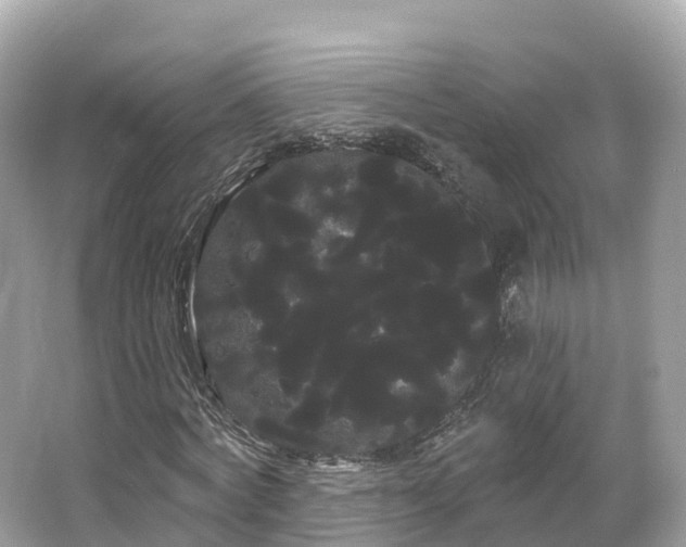 X0000066120772200603131327