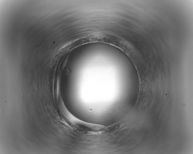 X0000066120773200603131327