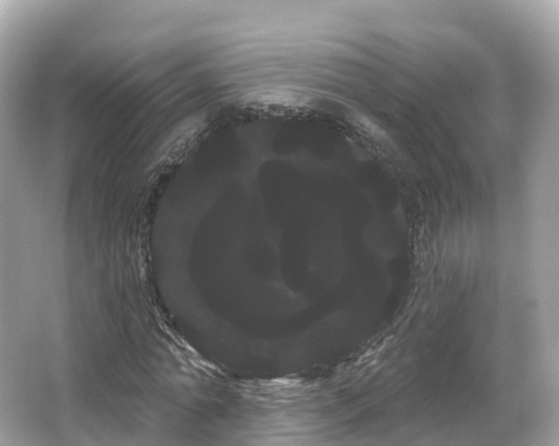 X0000066120774200603131327