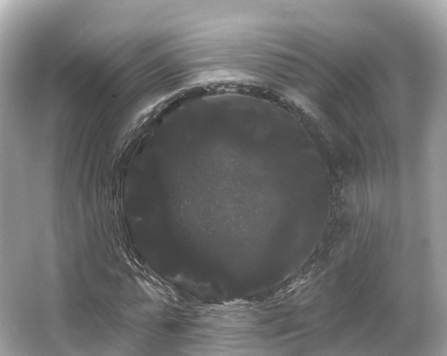 X0000066120775200603131327