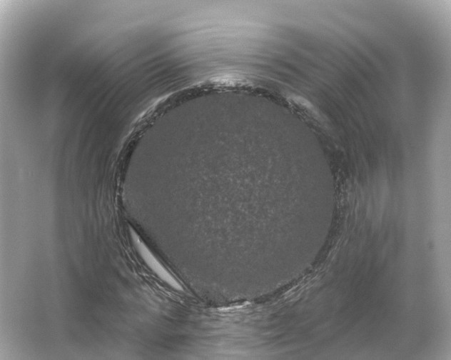 X0000066120776200603131327