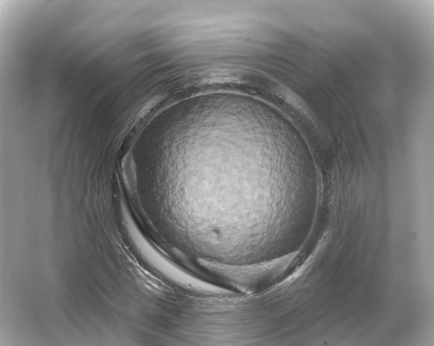 X0000066120777200603131327