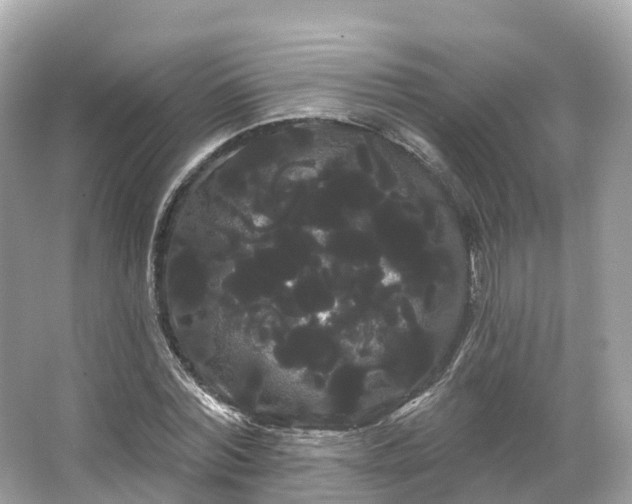 X0000066120780200603131327