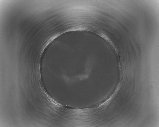 X0000066120781200603131327