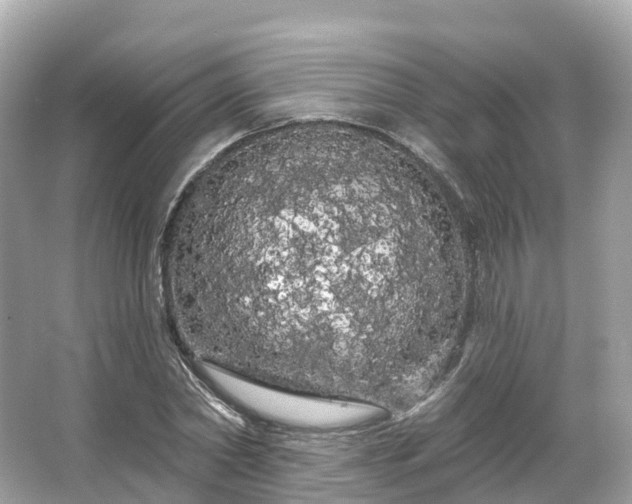 X0000066120782200603131327