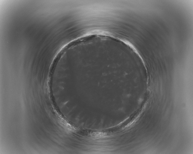 X0000066120783200603131327