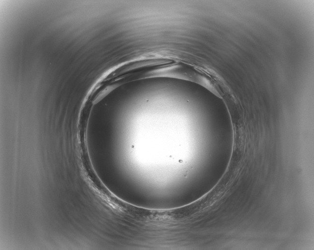 X0000066120784200603131327