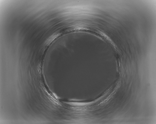 X0000066120785200603131327