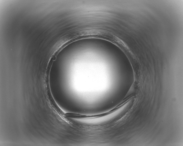 X0000066120786200603131327