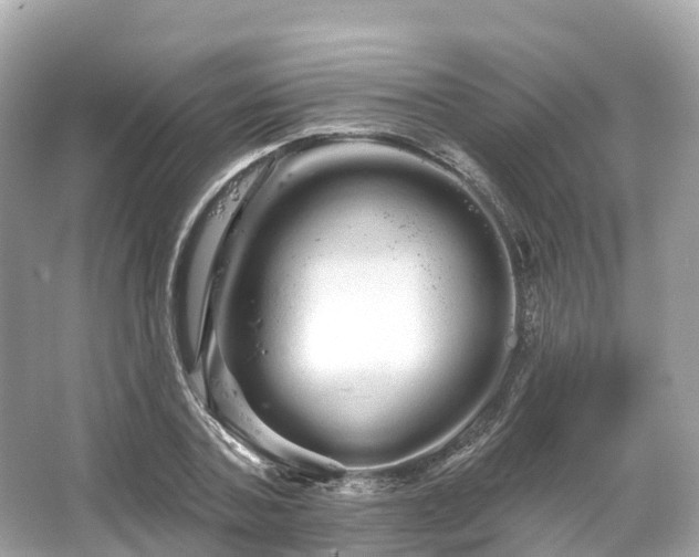 X0000066120787200603131327