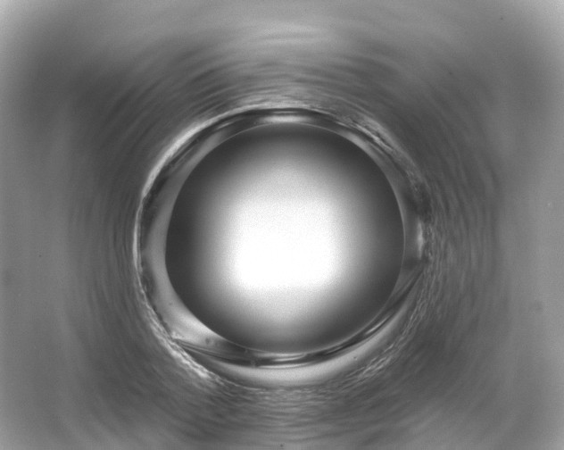 X0000066120788200603131327