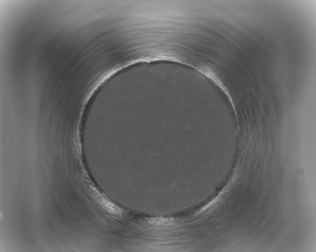 X0000066120789200603131327