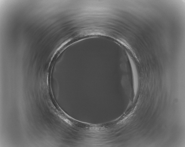 X0000066120790200603131327