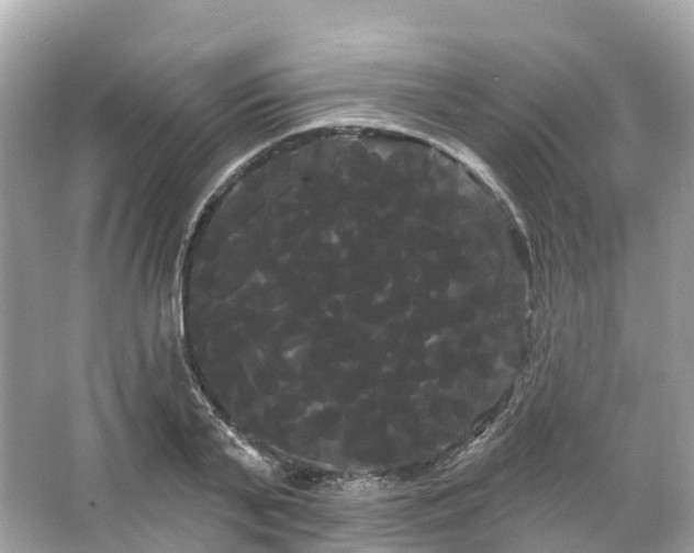 X0000066120791200603131327