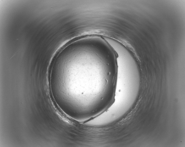 X0000066120792200603131327