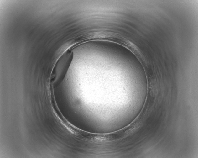 X0000066120794200603131327