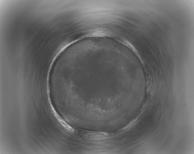 X0000066120795200603131327