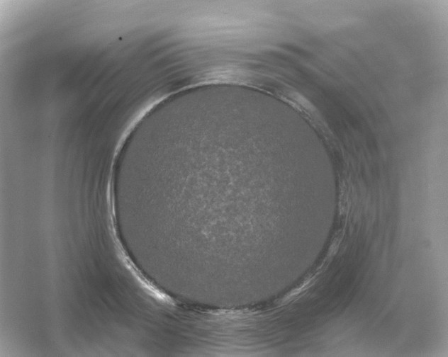 X0000066120796200603131327