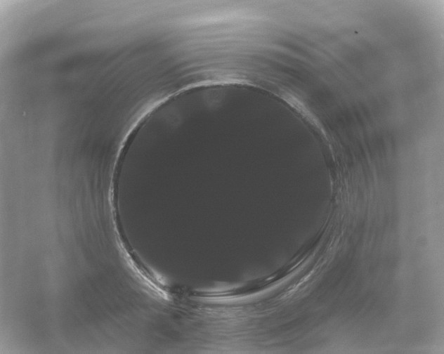 X0000066120797200603131327