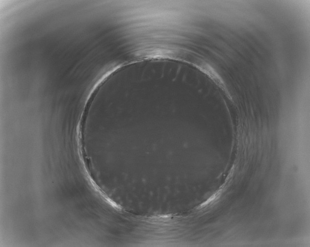 X0000066120798200603131327