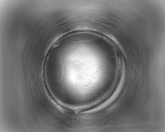 X0000066120799200603131327