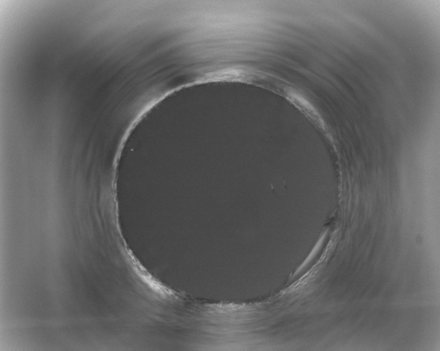 X0000066120800200603131327