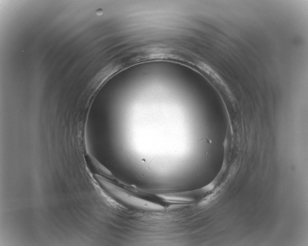 X0000066120801200603131327