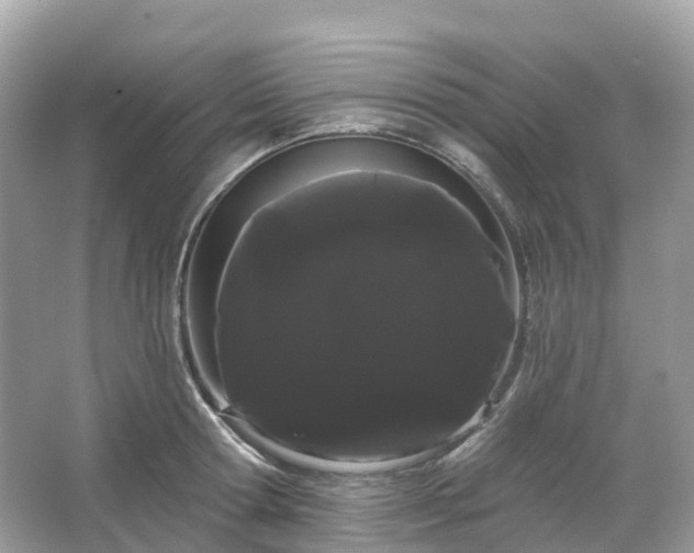 X0000066120802200603131327