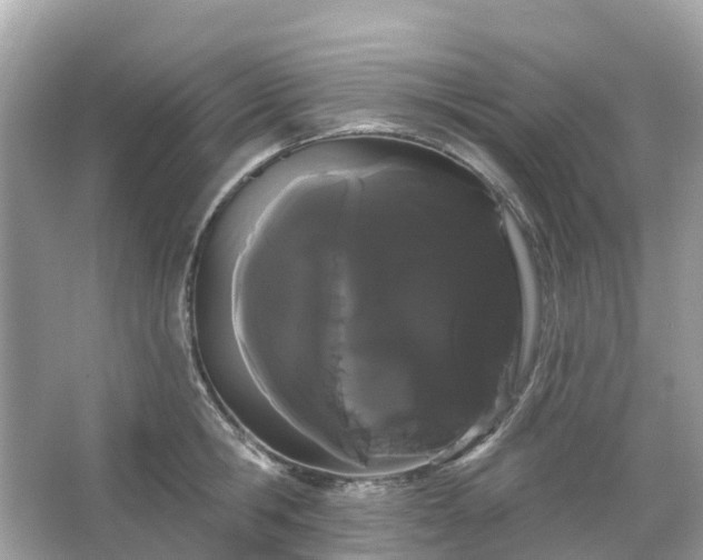 X0000066120806200603131327