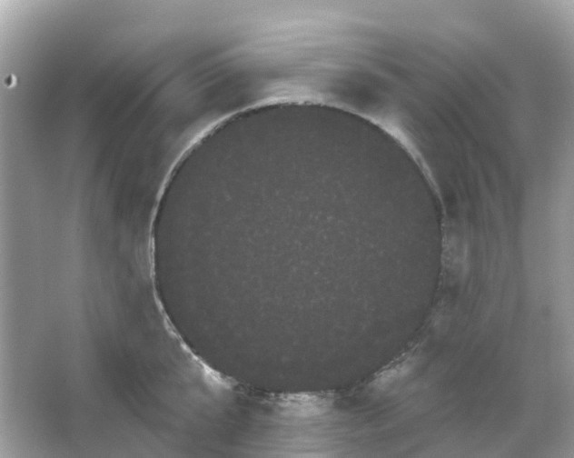 X0000066120807200603131326