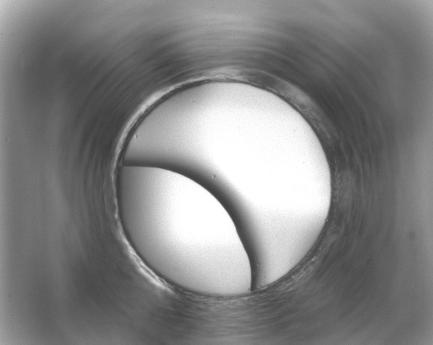 X0000066120808200603131326