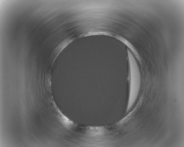 X0000066120809200603131326