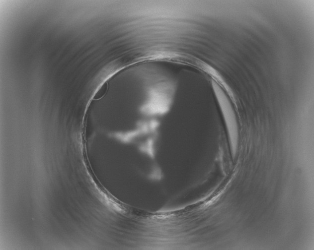 X0000066120810200603131326